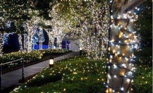 400-best-quality-led-solar-fairy-lights